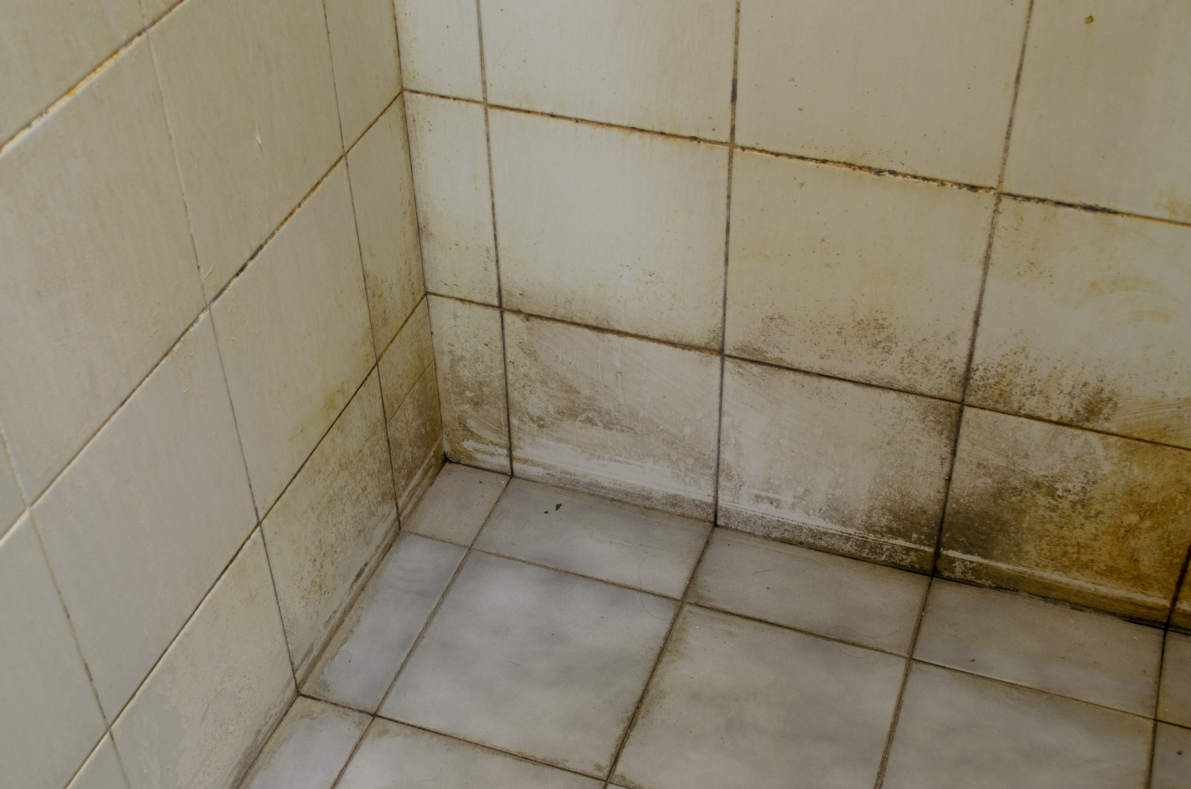 Dirty bathroom corner with visible mold buildup