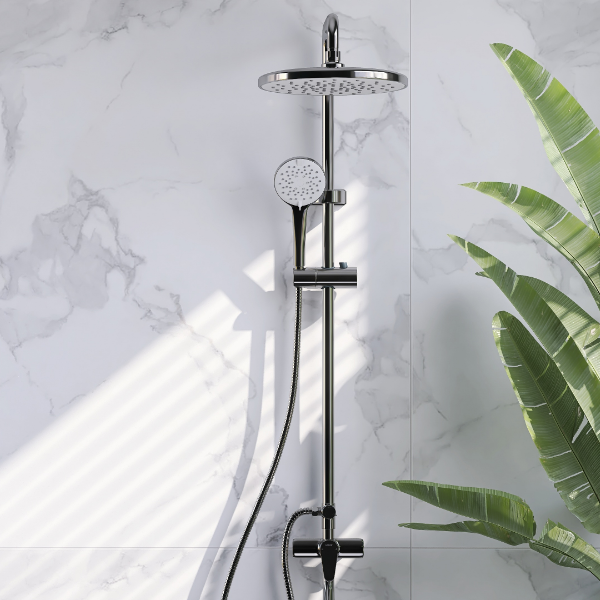 showerhead and removable showerhead mounted by the wall