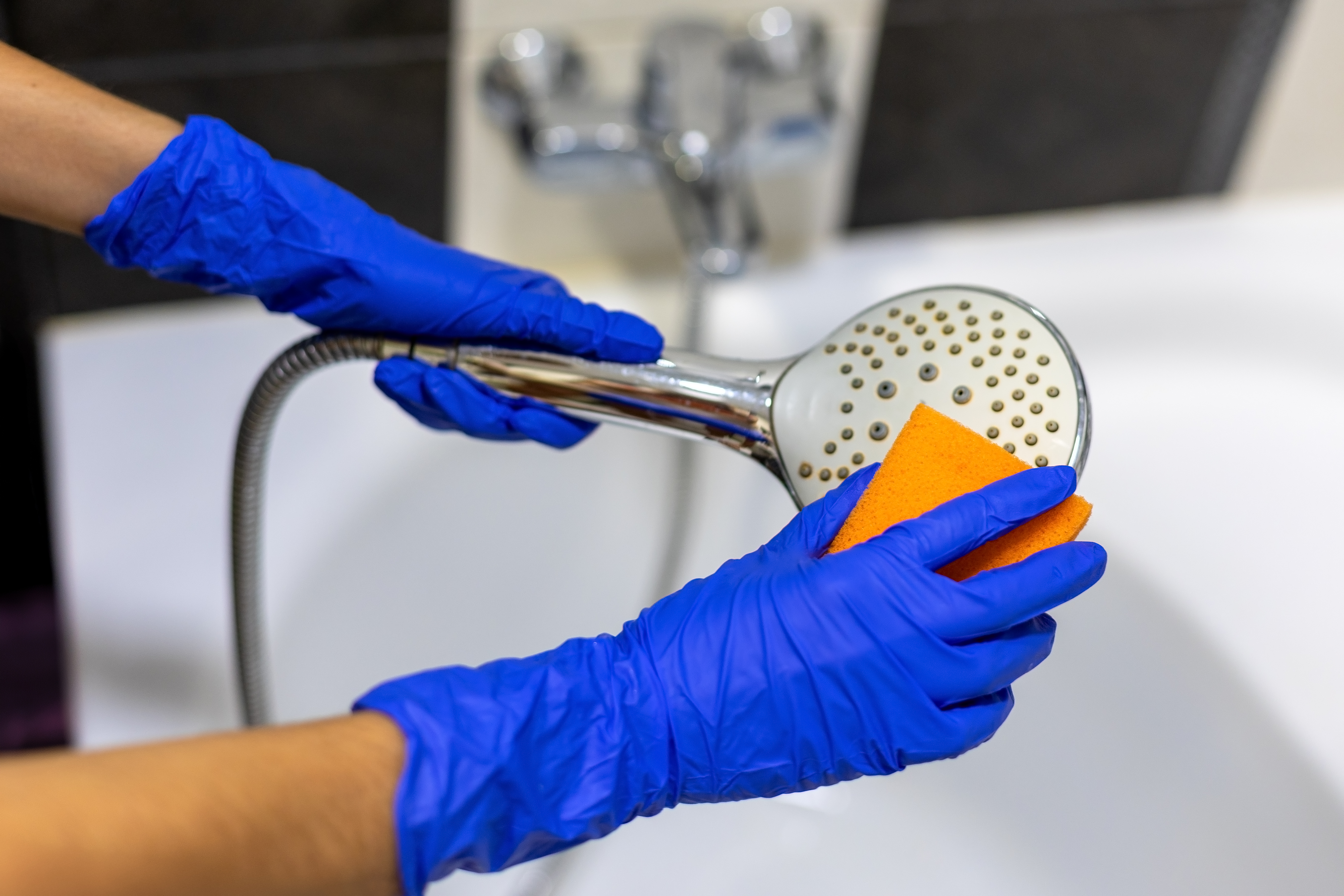 Person cleaning showerhead with sponge and blue gloves