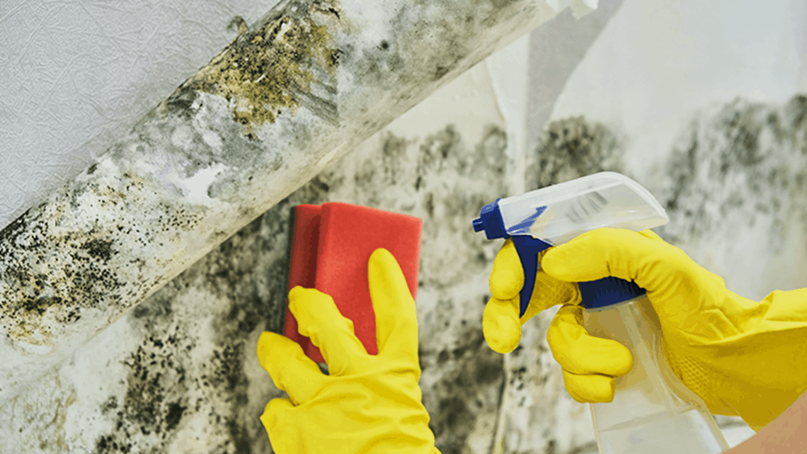 Cleaning Mold and Mildew From Walls