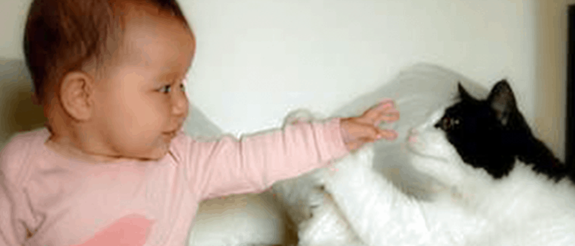 لماذا أصبحت الأمهات اليوم مهووسات بالنظافة